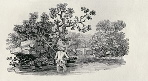 Spille en laks fra "History of British Birds and Quadrupeds" av Thomas Bewick