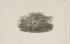 Halestykke: Man in Bush av Thomas Bewick