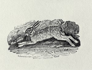 Haren fra "History of British Birds and Quadrupeds" av Thomas Bewick