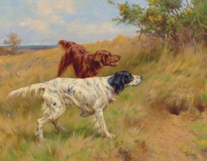 Setters, 2001