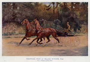 Travpar av Walter Winans, Esquire