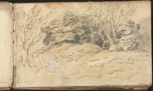 Album of Landscape and Figure Studies: Sketch of Trees and Rocks