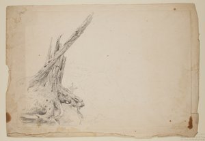 Broken Trunk of a Tree (blyant på papir) av Thomas Cole