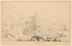 Narcissus [straight] av Thomas Cole