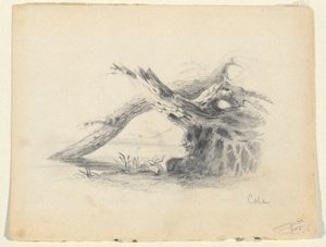 Skisse av to døde trær av Thomas Cole