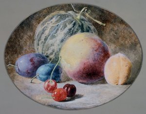 Frukt, 1800-tallet