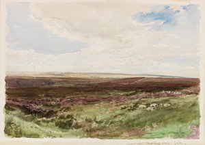 Moorland nær Hart Leap Well, Yorkshire (akvarell på papir) av Thomas Collier