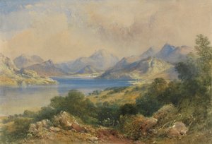 Fjellscene med en innsjø