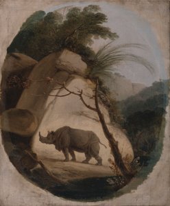 Det indiske neshornet av Thomas Daniell