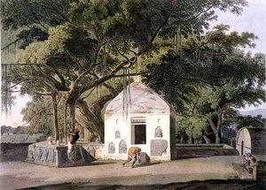 The Sacred Tree of the Hindoos, i Gyah, Bahar, fra 