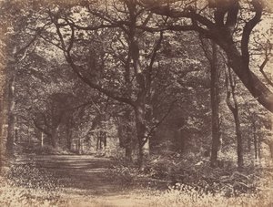 Trescene, Norton, Cheshire, 1856.