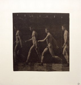 Marey Wheel-fotografier av uidentifisert modell, ca. 1884. av Thomas Eakins