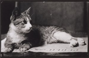 Fru Thomas Eakins