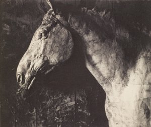 [Gipsmodell av Clinker til et rytterrelieff av general Grant] av Thomas Eakins