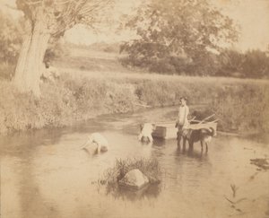 [Tre barn og en hund som leker i bekken, 4. juli 1883], 1883., 1883. av Thomas Eakins