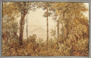 Utsikt over Rio de Janeiro fra Tijuca-skogen av Thomas Ender