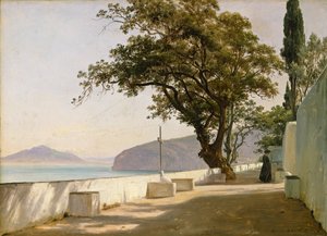 Terrasse med eik, Sorrento av Thomas Fearnley
