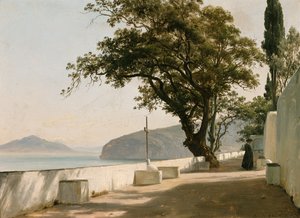  av Thomas Fearnley