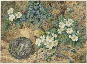 Stilleben av et fuglerede, fioler, primulaer og epleblomster av Thomas Frederick Collier