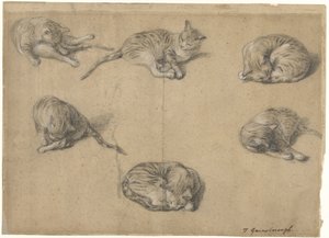 Seks studier av en katt av Thomas Gainsborough