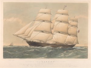  av Thomas Goldsworth Dutton