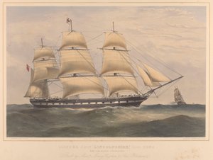  av Thomas Goldsworth Dutton