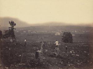 Waymart, Del. & Hudson Canal Co., ca. 1863-1865.