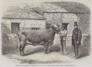 Kaptein Gunters hertuginne 77., førstepremieku på Royal Agricultural Society