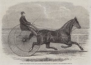 Jackey, vinneren av avdøde Aintree Trotting Stakes i Liverpool av Thomas Harrington Wilson