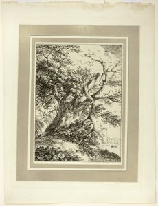 Old Tree, fra den første utgaven av Specimens of Polyautography av Thomas Hearne