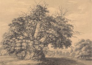 Kastanjetreet ved Little Wymondley, Hertfordshire av Thomas Hearne