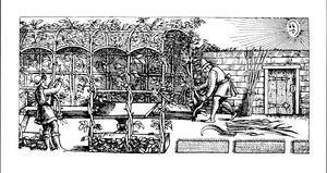 Arbor bygges som en skygge mot solen, fra 