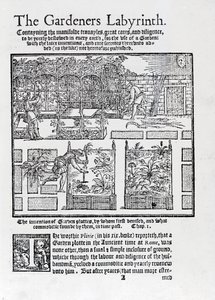 Arbor bygget som en skygge mot solen og planting i høybed, fra The Gardeners Labyrinth, 1577 av Thomas Hill