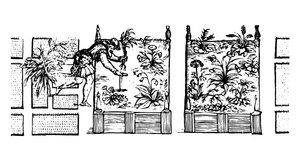Planting i høybed, fra 
