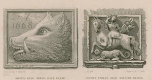 Villsvinehode og gammelt nettbrett av Thomas Hosmer Shepherd