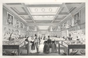 British Museum, Zoological Gallery, fra puben 
