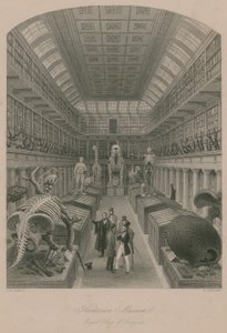 Hunterian Museum, Royal College of Surgeons, London av Thomas Hosmer Shepherd
