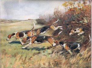 Følger duften, illustrasjon fra 