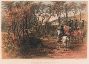 Fighting in the Bush, 8th Cape Frontier War av Thomas J. Lucas