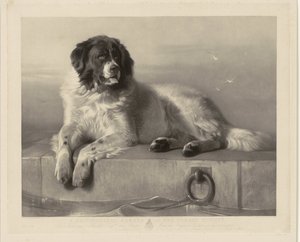Portrett av redningshunden Bob, liggende på en brygge Et fremtredende medlem av Humane Society (tittel på objekt) av Thomas Landseer