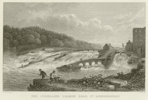 Coleraine laksespranget av Thomas Mann Baynes