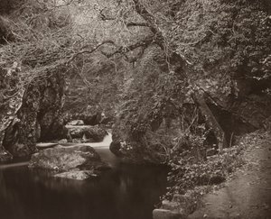 The Dargle Hole, ca. 1865. av Thomas Marcus Brownrigg
