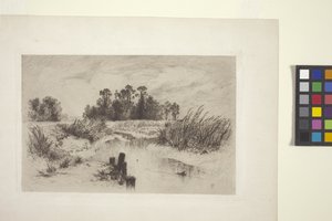 Myrlendt landskap med strøm (etsing på papir) av Thomas Moran