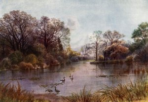 Kew Gardens: The Lake (farge litho)