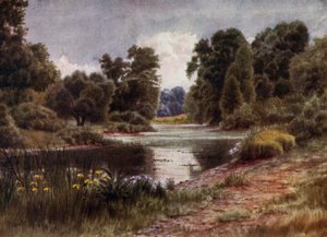Kew Gardens: The Lake, Looking South (farge litho)