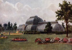 Kew Gardens: The Palm House (farge litho) av Thomas Mower Martin