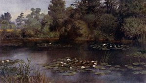 Kew Gardens: The Water Lily Pond (farge litho) av Thomas Mower Martin