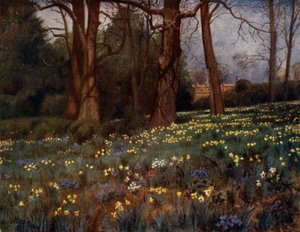 Kew Gardens: The Wild Garden in Spring (farge litho)