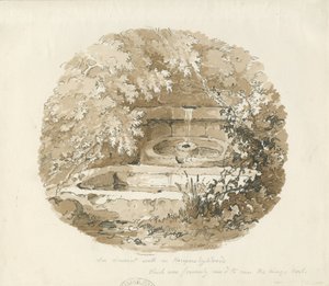 Biddulph - Ancient Well in Knypersley Woods: sepia-tegning