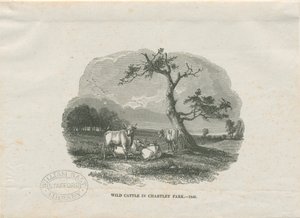Chartley Hall - Park: tresnittsgravering